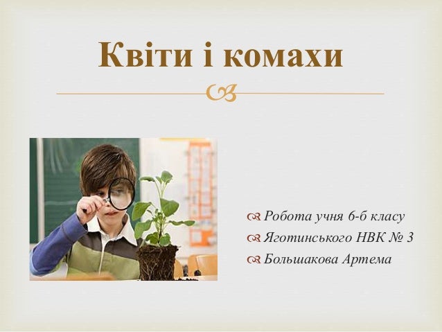Реферат На Тему Квіти І Комахи Реферат На Тему Квіти І Комахи